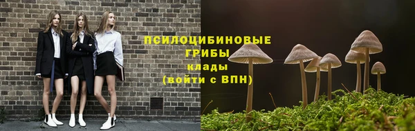 шишки Богородск