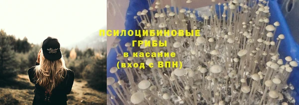 прущие крисы Богданович