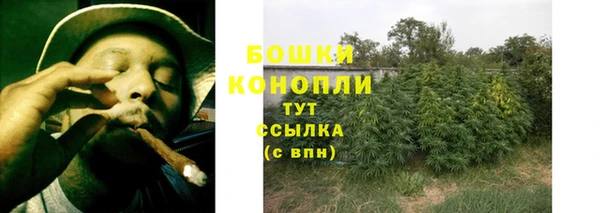 прущие крисы Богданович