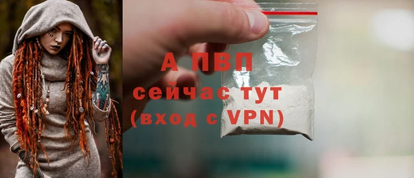 шишки Богородск