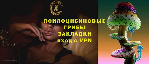 шишки Богородск