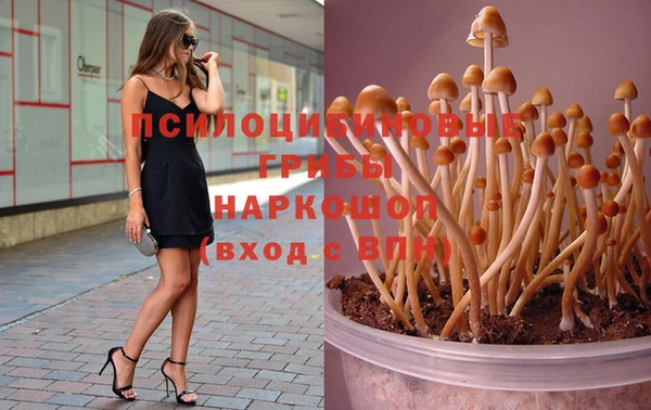бошки Богородицк