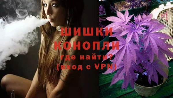 шишки Богородск