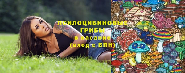 шишки Богородск