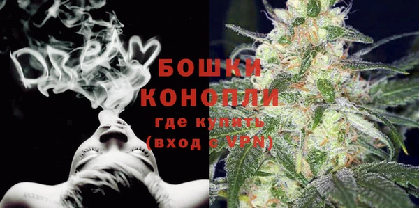 шишки Богородск