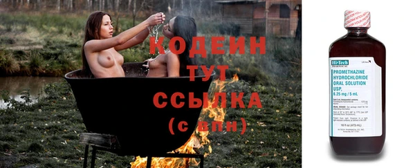 прущие крисы Богданович