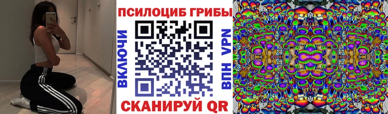 Галлюциногенные грибы Psilocybine cubensis Дно